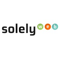 Solelyweb Limited logo - Similar company to Netigy
