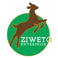 Ziweto Enterprise logo - Similar company to Zomba Arts Platform