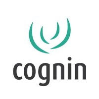 Cognin Treinamento e Desenvolvimento logo - Similar company to Gpdh Treinamento E Desenvolvimento