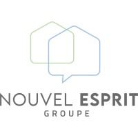 Nouvel Esprit Groupe logo - Similar company to Am Conseil