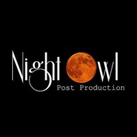 Night Owl Studios logo - Similar company to Core Digital Studios