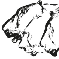 Grotte Chauvet Ardèche logo - Similar company to Ardèche Tourisme