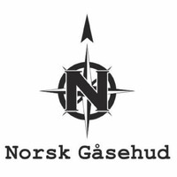 Norwegian Goosebumps logo - Similar company to Travelopment