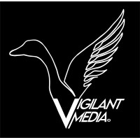 Vigilant Media Inc. logo - Similar company to Sales Advisor