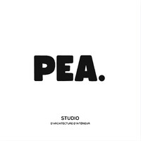 PEA Studio logo - Similar company to Crème Studio