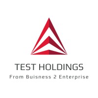 Test Holdings logo - Similar company to Tullius Partners - M&A Advisory