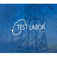 Test Labor Group logo - Similar company to Thruone