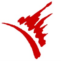 Turning Star logo - Similar company to Iweiss