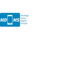 MDMS logo - Similar company to Mdms Recruiting, Llc