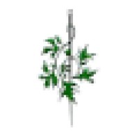 Alternative Medicine Family Care Center