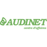 AUDINET logo - Similar company to Kropland