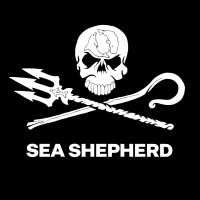 Sea Shepherd Nouvelle-Calédonie logo - Similar company to Micro Création Sarl