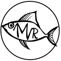 MVR Studios logo - Similar company to Silverbucket