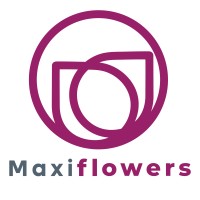 Maxiflowers logo - Similar company to Maxiflow Sistemas De Fluidos