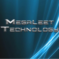 MegaLeet Technology NC logo - Similar company to Neodev Consulting