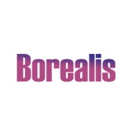 Borealis eCommerce logo - Similar company to Roig Digital