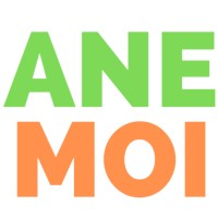 ANEMOI logo - Similar company to Fastest Rank