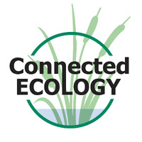 Connected Ecology Ltd logo - Similar company to Native Ecology | Certified B Corp
