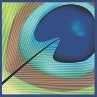 Arcadia Performing Arts Foundation logo - Similar company to Greenstage