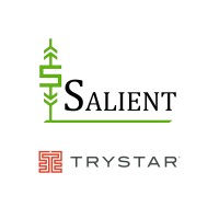 Salient | Trystar logo - Similar company to Trystar