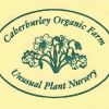 Caherhurley Nursery logo - Similar company to Tendercare Nurseries