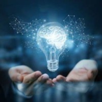 Dlw4Insights