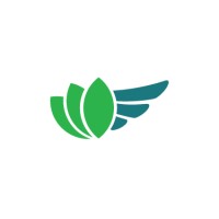 Lillifly Consulting Inc. logo - Similar company to Mirco Gasparotto | Osa Imprenditori D'Eccellenza