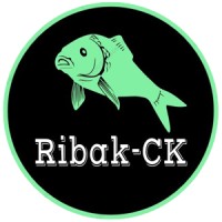Ribak logo - Similar company to Active Bridge, Llc