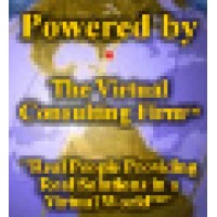 The Virtual Consulting Firm