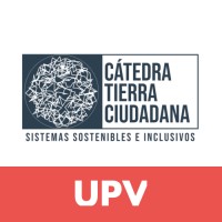 Tierra Ciudadana Chair