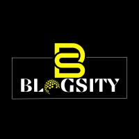 Blogsity.pk logo - Similar company to 110 Digitech Digital Solutions