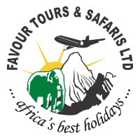 Favour Tours & Safaris Ltd logo - Similar company to Binutop Leatherware.