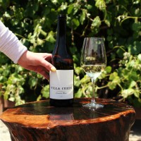 Villa Creek Cellars logo - Similar company to Must! Charities
