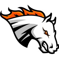 Stallions de Laval logo - Similar company to Exo Medical