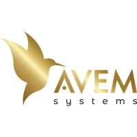 Avem Systems logo - Similar company to Seeherwork