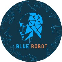 Blue Robot Digital logo - Similar company to Integrated Billing Inc.