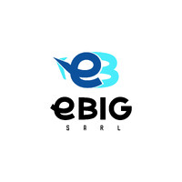 Ebig sarl logo - Similar company to 243Congoentreprise