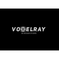 Voxelray logo - Similar company to Codin Collective Llp