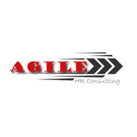 Agile HR Consulting logo - Similar company to Hr Services