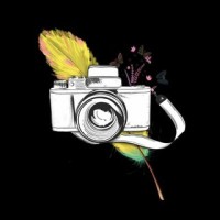 Quills 'N' Stills