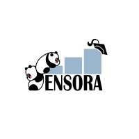 Ensora logo - Similar company to Enkora Oy