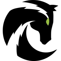 LyteHorse Labs logo - Similar company to Patriapps Software Venture Studio