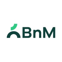 BnM logo - Similar company to Eirgrid Group