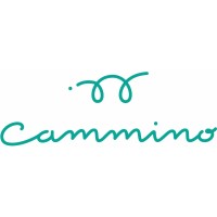 Cammino logo - Similar company to Valbom