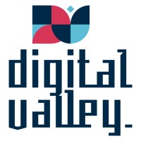 Digital Valley Hellas logo - Similar company to Digital Valley