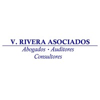 V RIVERA ASOCIADOS AUDITORES CONSULTORES SL logo - Similar company to Siana Digital