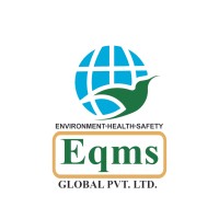 EQMS Global Pvt Ltd logo - Similar company to Eqms Global Private Limited