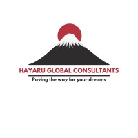 Hayaru Global Networks Pvt. Ltd. logo - Similar company to Nxs Techies Llp