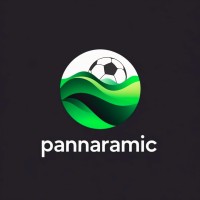 Pannaramic Media logo - Similar company to Birmingham Impact Football Club