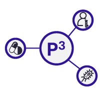 P3NET logo - Similar company to Ecraid